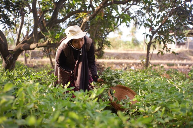 The Use of Drones in Agriculture and Food Production